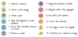 The Permaculture Principles are 1. Observe & Interact, 2. Catch & Store Energy, 3. Obtain a Yield, 4. Apply Self-Regulation & Accept Feedback, 5. Use & Value Renewable Resources & Services, 6. Produce No Waste, 7. Design from Patterns to Details, 8. Integrate Rather than Segregate, 9. Use Small & Slow Solutions, 10. Use & Value Diversity, 11. Use Edges & Value the Marginal, 12. Creatively Use & Respond to Change