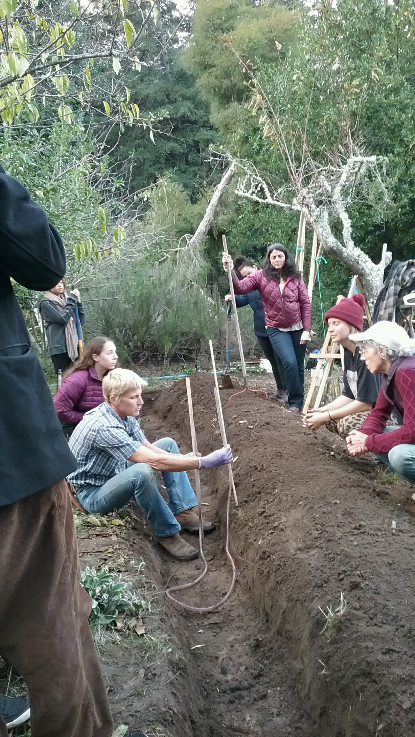 Santa Cruz Permaculture: 7 Rainwater Harvesting Principles