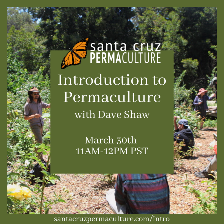 Permaculture instructor educates permaculture students in a garden