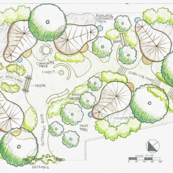 Permaculture Design Illustration for advanced course