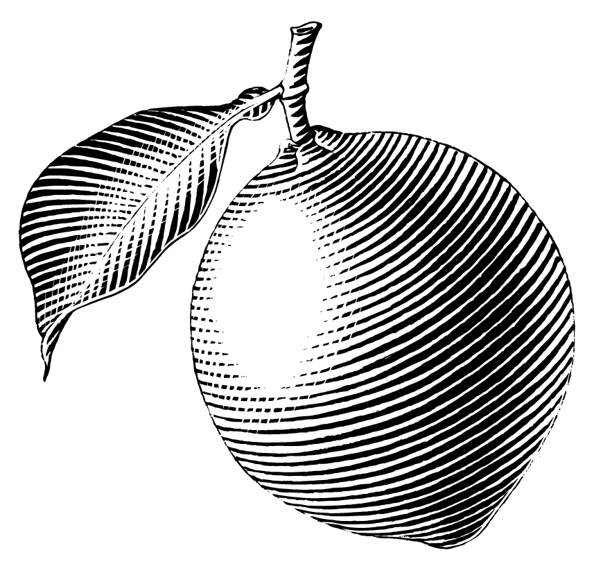 lemon-santa-cruz-permaculture