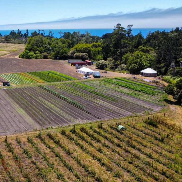 An aerial view of the permaculture farm shows row of caneberries, market crops, a yurt and tent, with the Pacific Ocean and beaches beyond.
