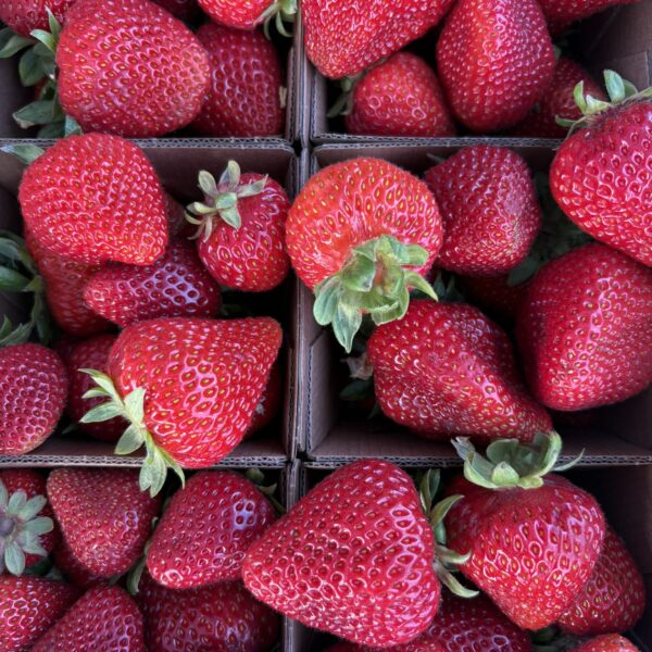 Strawberries
