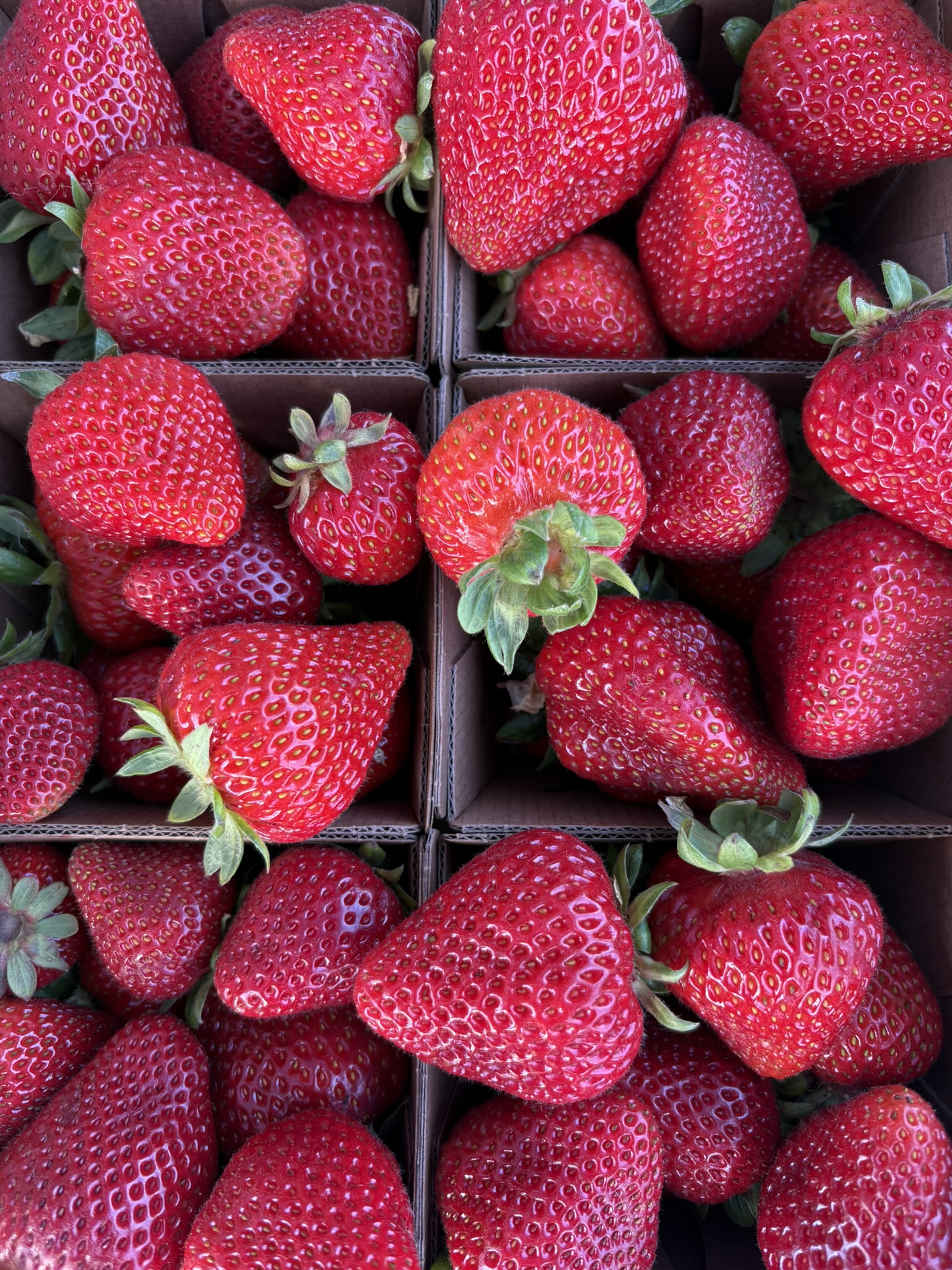 Strawberries
