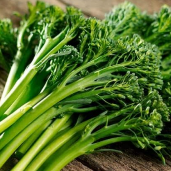 Broccolini "BC1611"