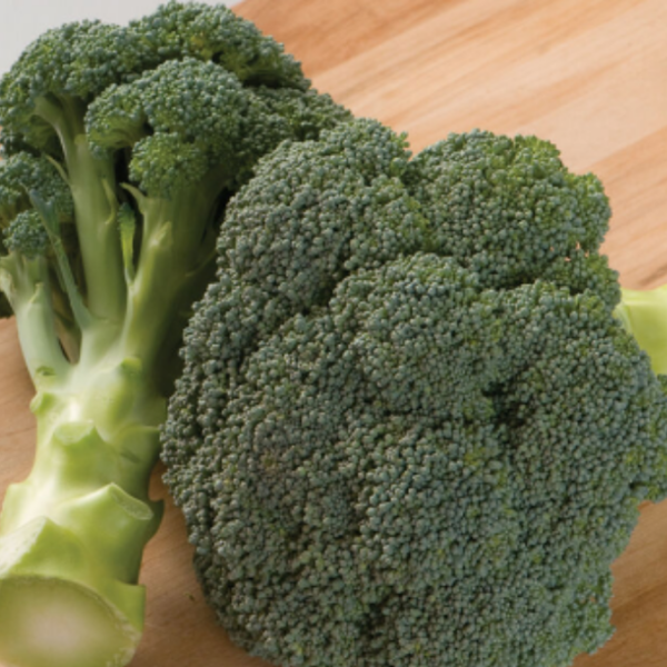 Broccoli "Gypsy"