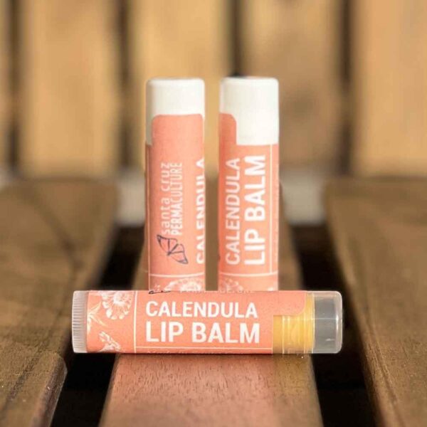 Calendula Lip Balm