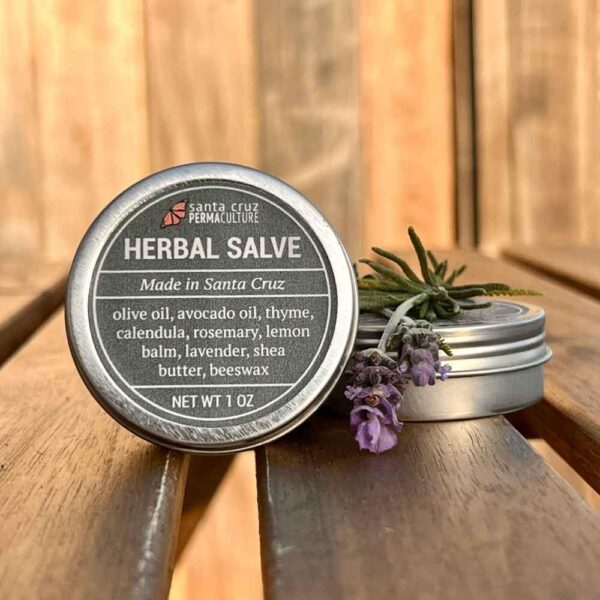 Herbal Salve