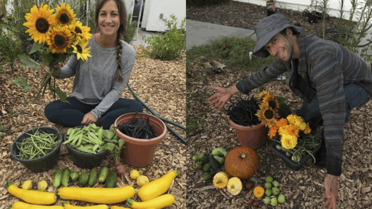 Anna and Kyle King transformed a garden plot into a thriving community space, where they grow food, share harvests, and embody the permaculture principles of observation, connection, and earth care.
