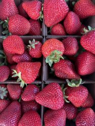 Strawberries